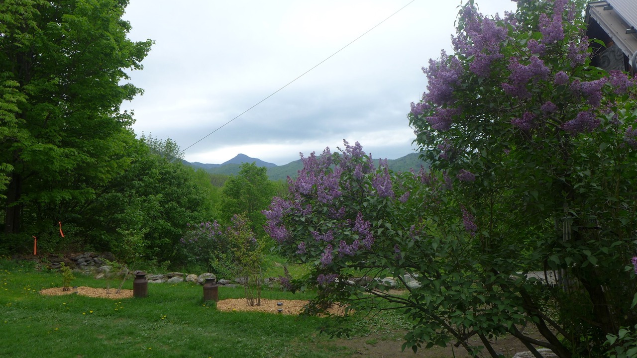 Photo of Outdoor in Moretown