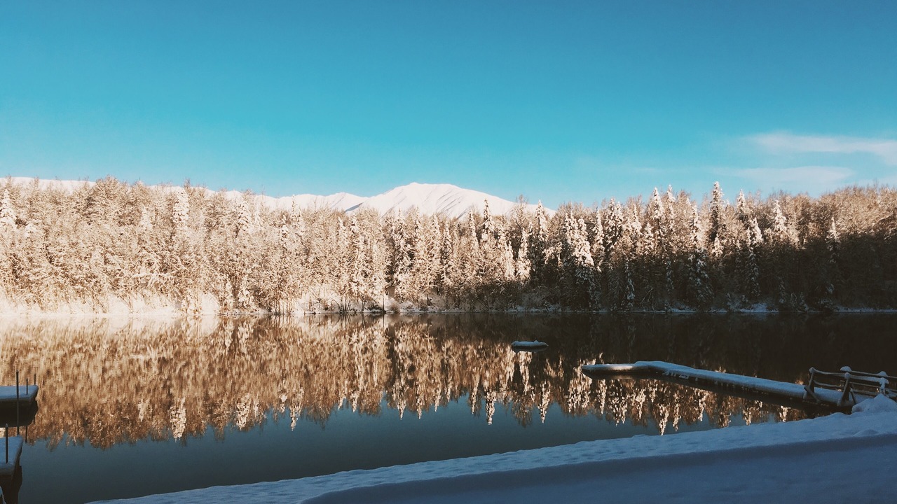 Photo of Others in Wasilla