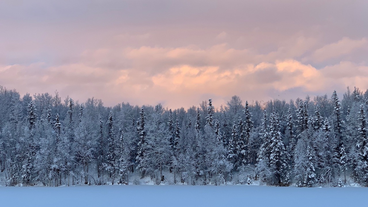 Photo of Others in Wasilla