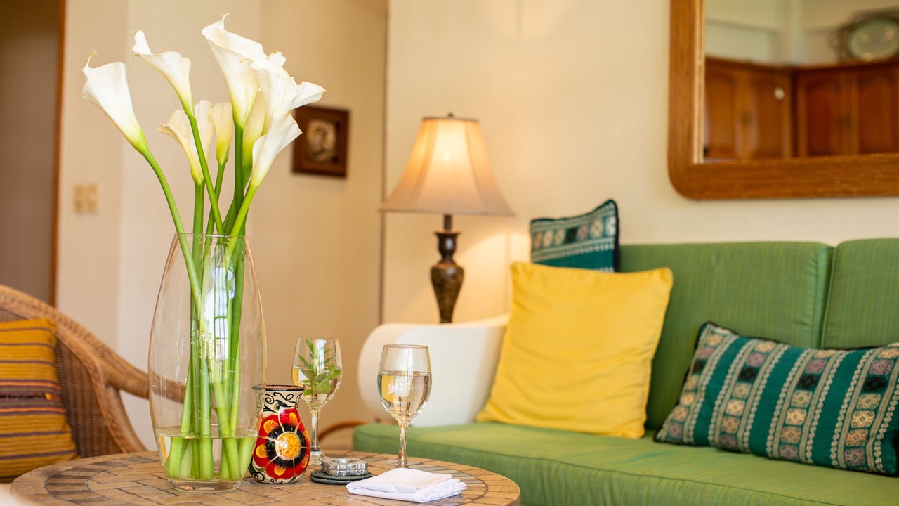 Photo of Livingroom in Conchas Chinas