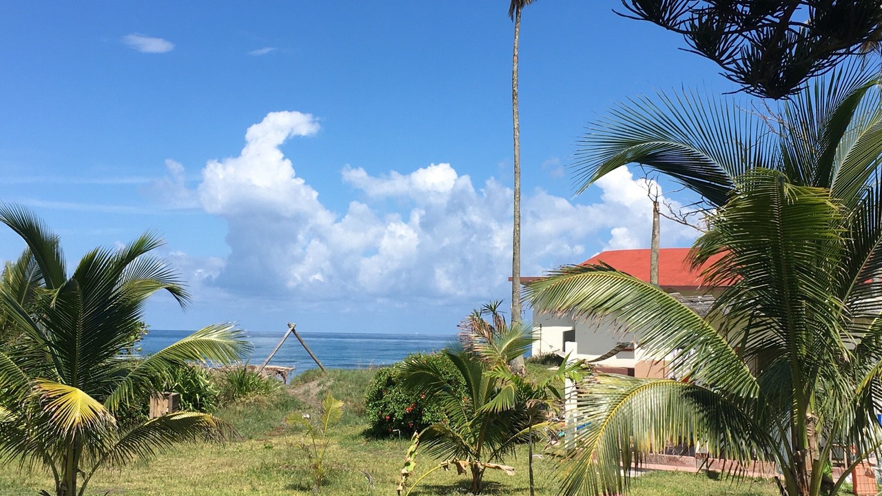 Photo of Outdoor in Tecolutla