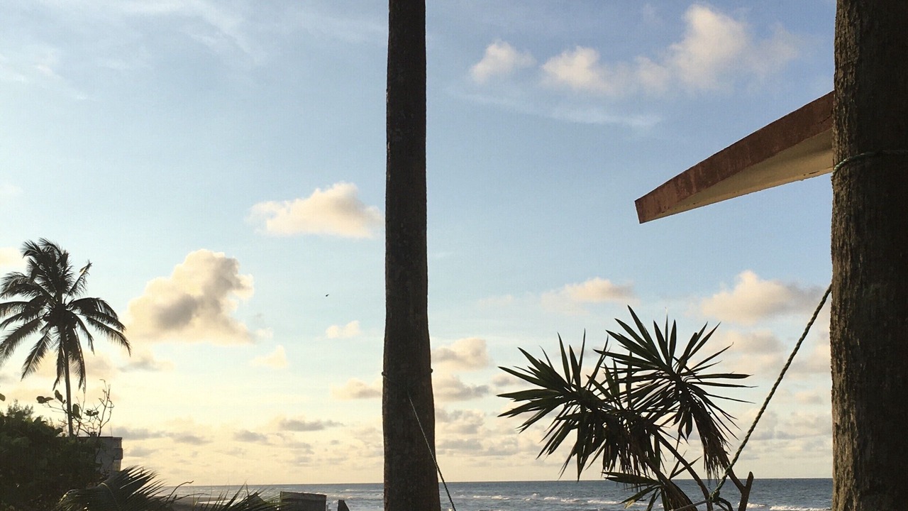 Photo of Outdoor in Tecolutla
