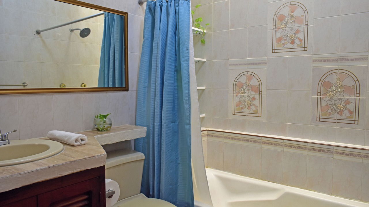 Photo of Bathroom in Palmar de Aramara