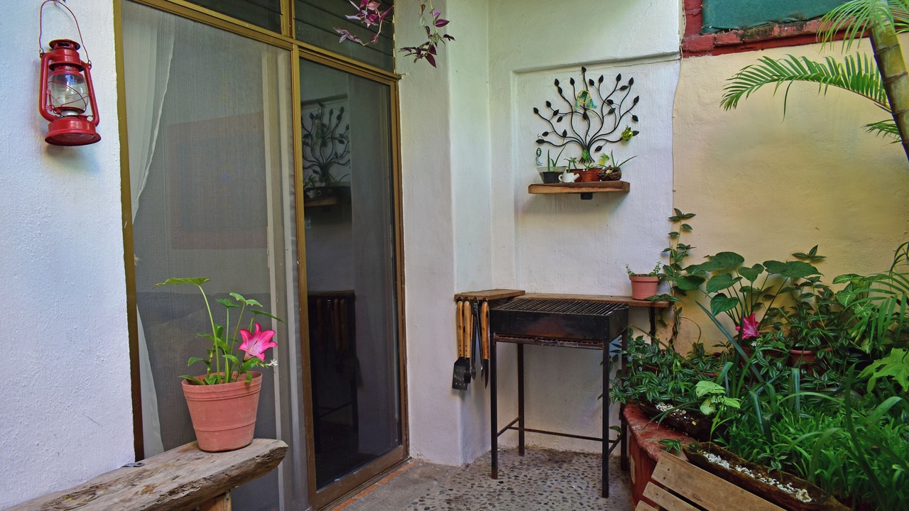 Photo of Outdoor in Palmar de Aramara