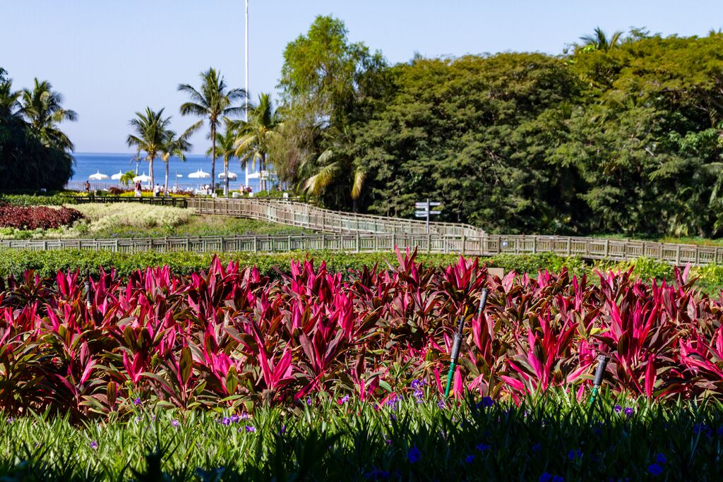 Photo of Others in Nuevo Vallarta