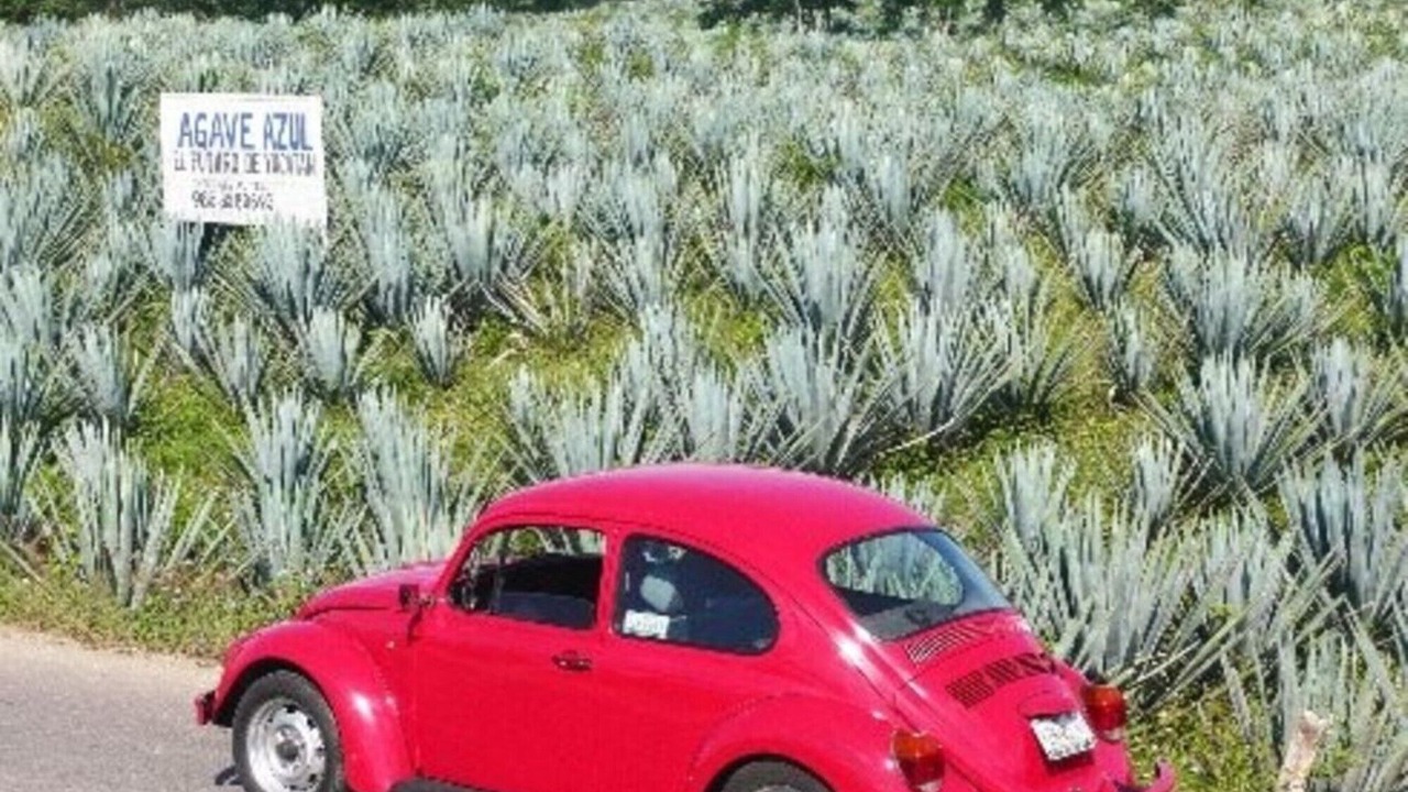 Photo of Others in El Cuyo