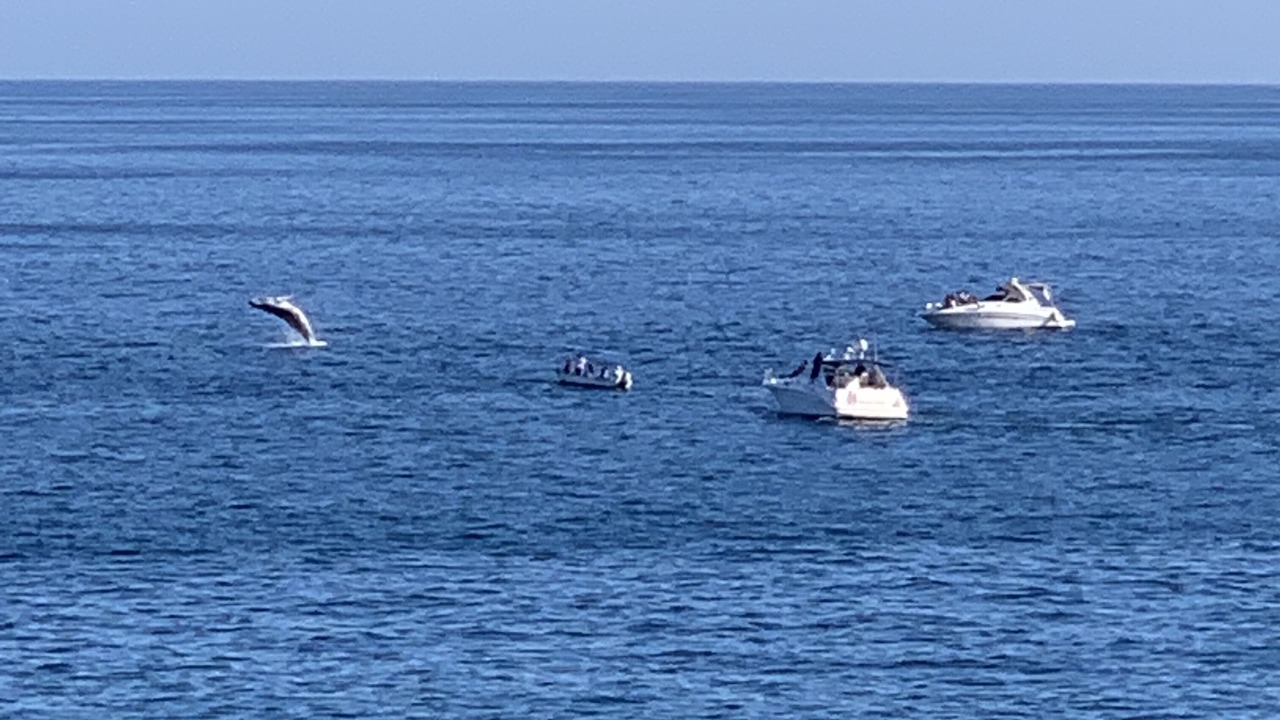 Photo of Others in Cabo Bello