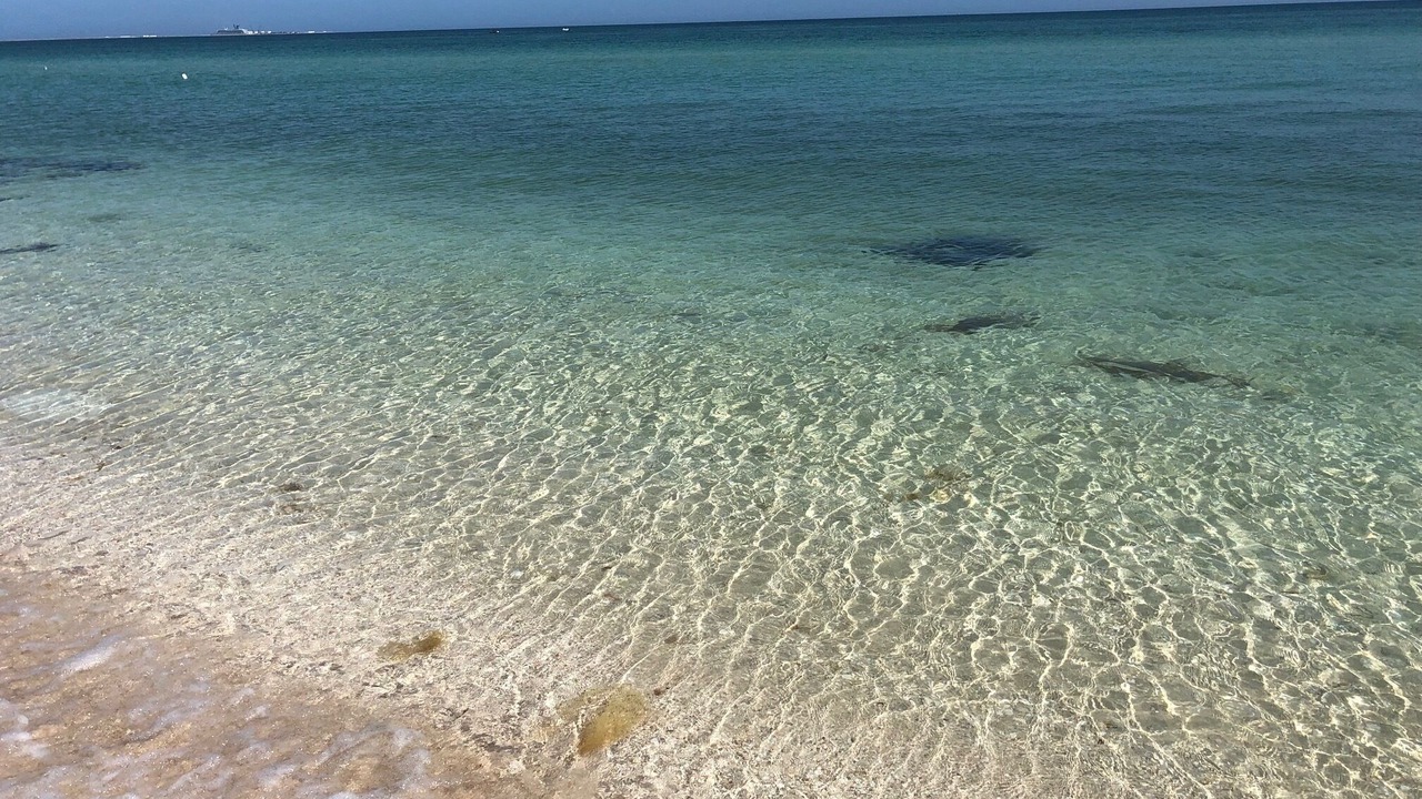 Photo of Others in Chicxulub Pueblo