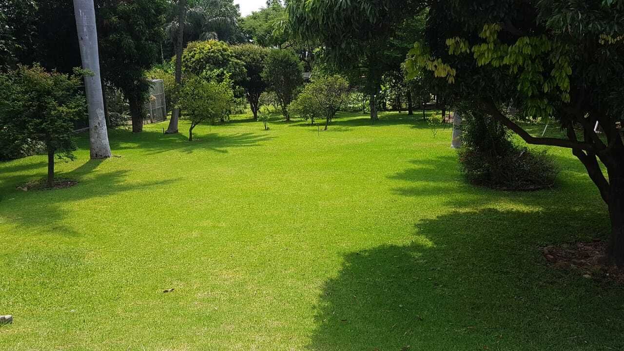 Photo of Outdoor in Cuernavaca