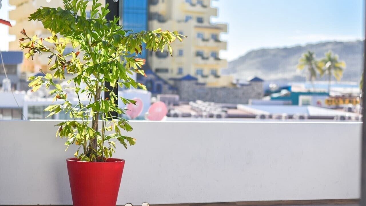 Photo of Outdoor in Zona Dorada