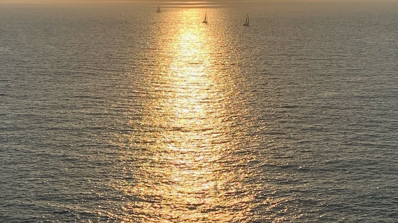 Photo of Others in Marina Vallarta