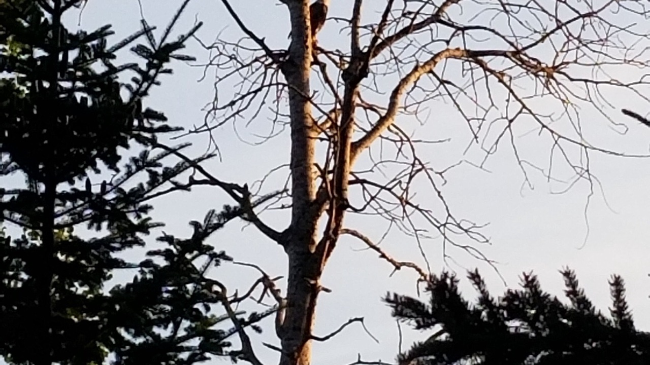 Photo of Others in Eagle Lake