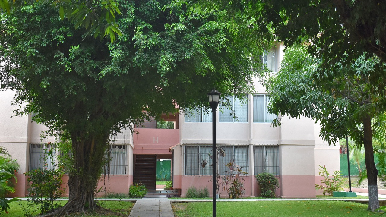 Photo of Outdoor in Crucecita