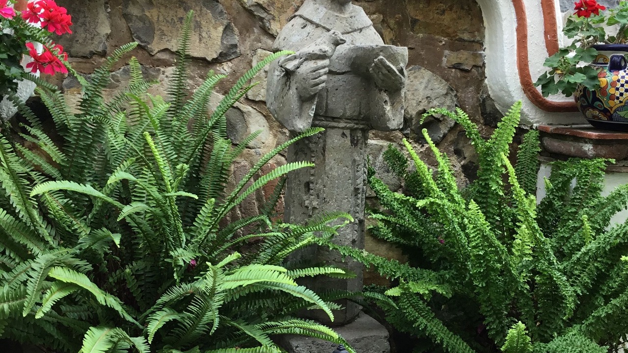 Photo of Others in San Juan Cosala