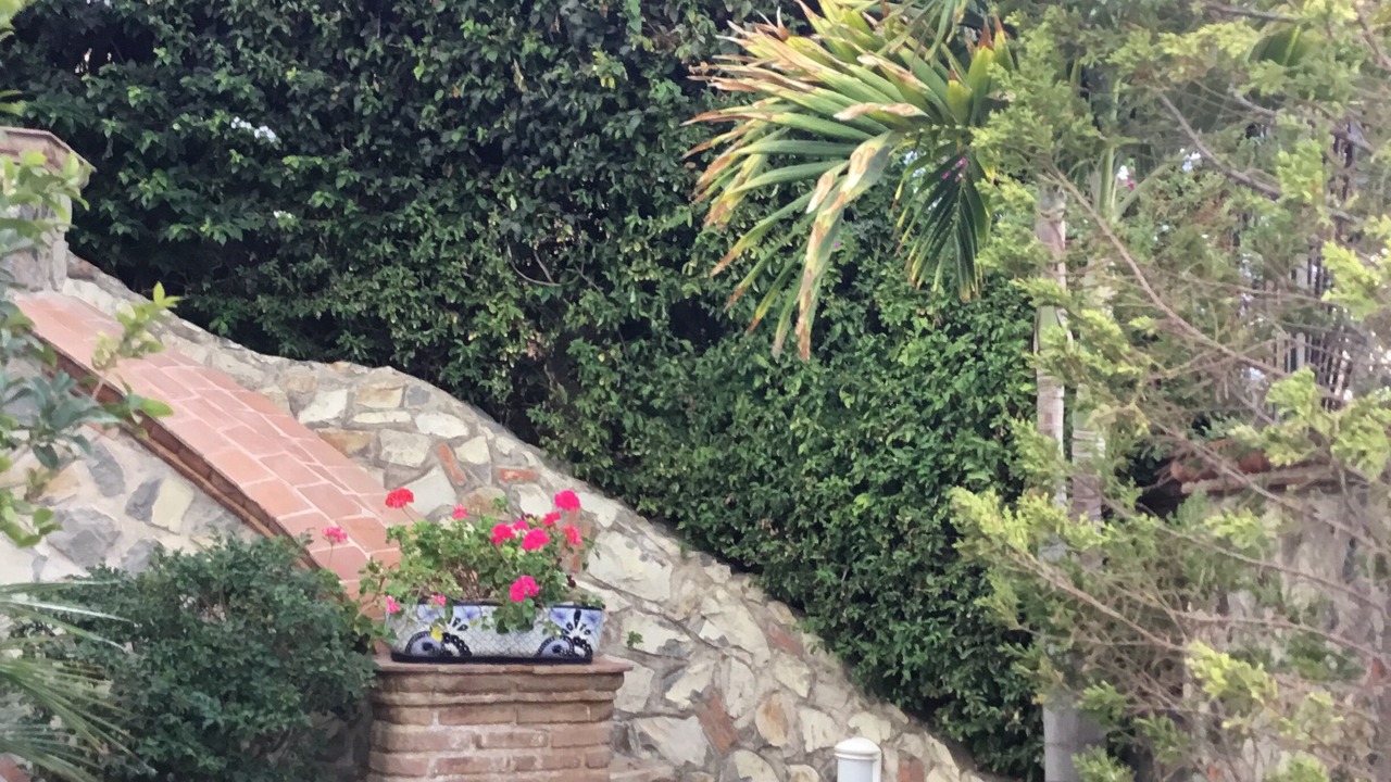 Photo of Outdoor in San Juan Cosala