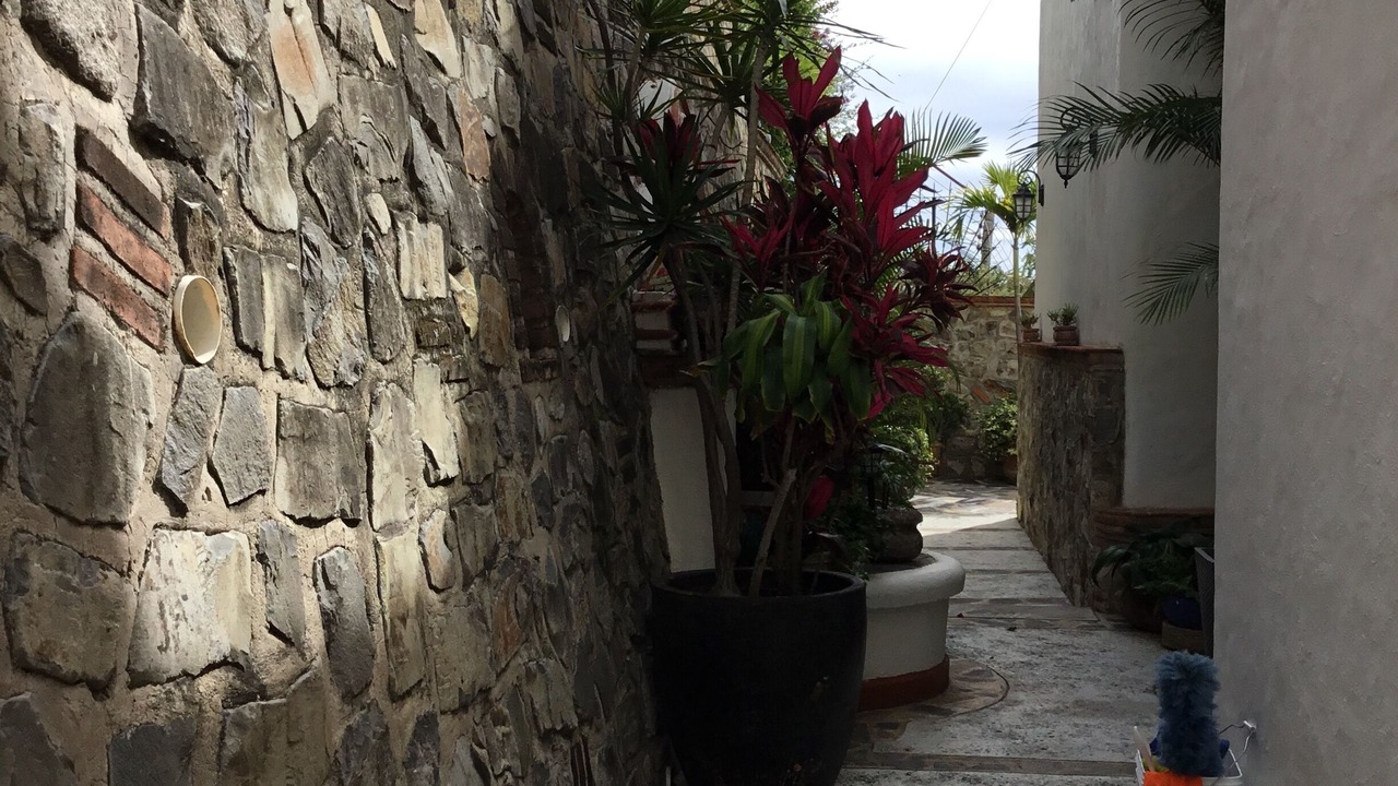 Photo of Outdoor in San Juan Cosala