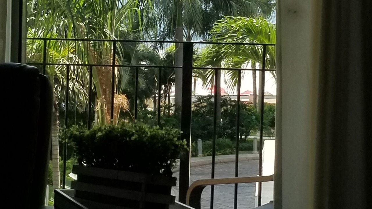 Photo of Others in South Hotel Zone