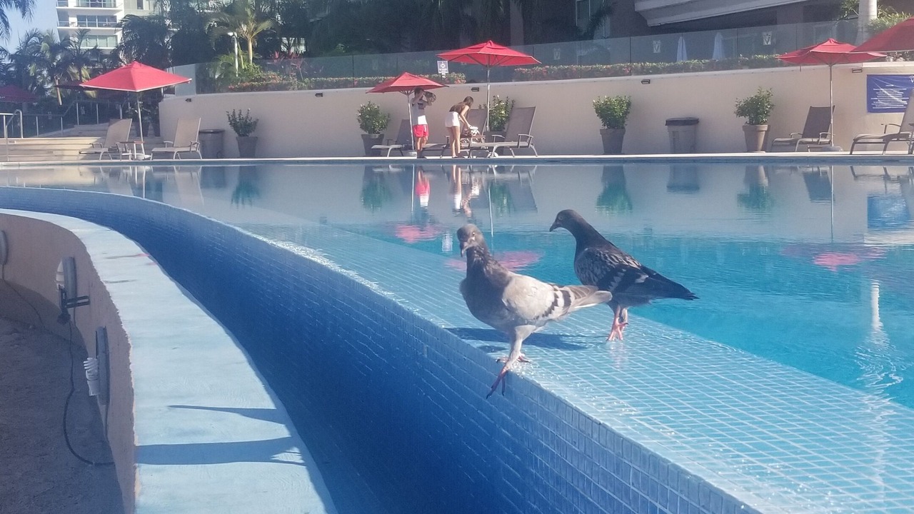 Photo of Outdoor in South Hotel Zone