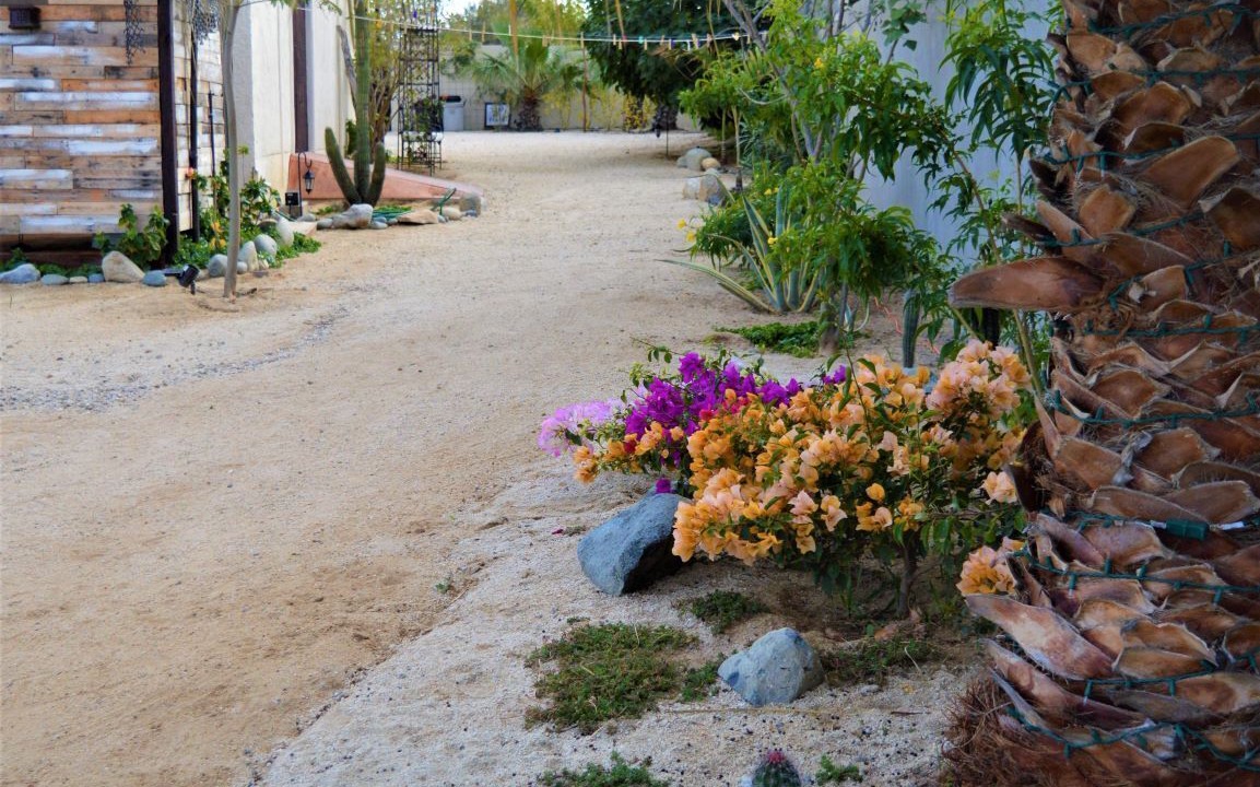 Photo of Outdoor in Buenavista