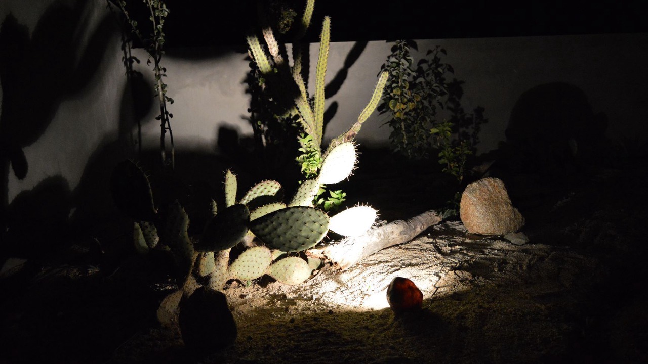 Photo of Outdoor in Buenavista