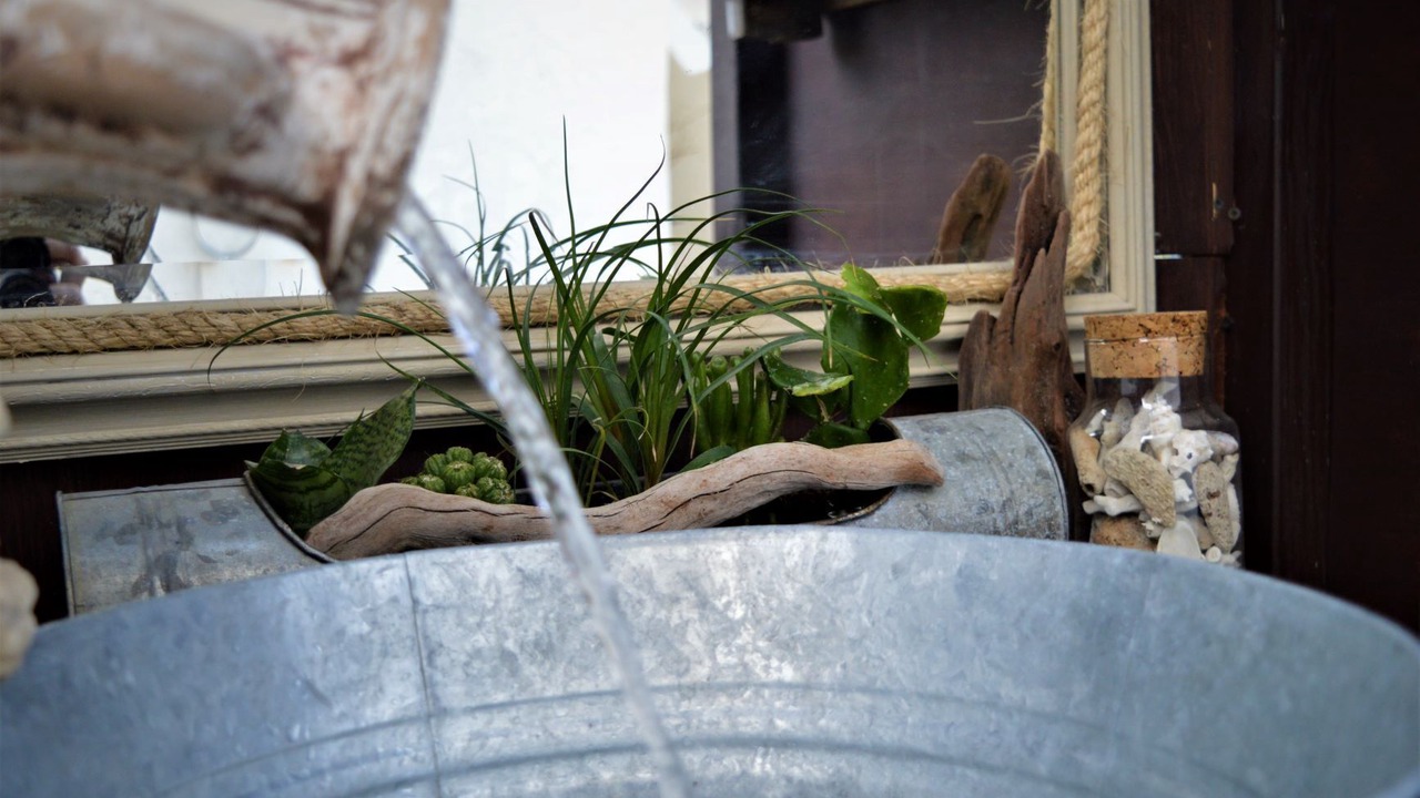 Photo of Outdoor in Buenavista