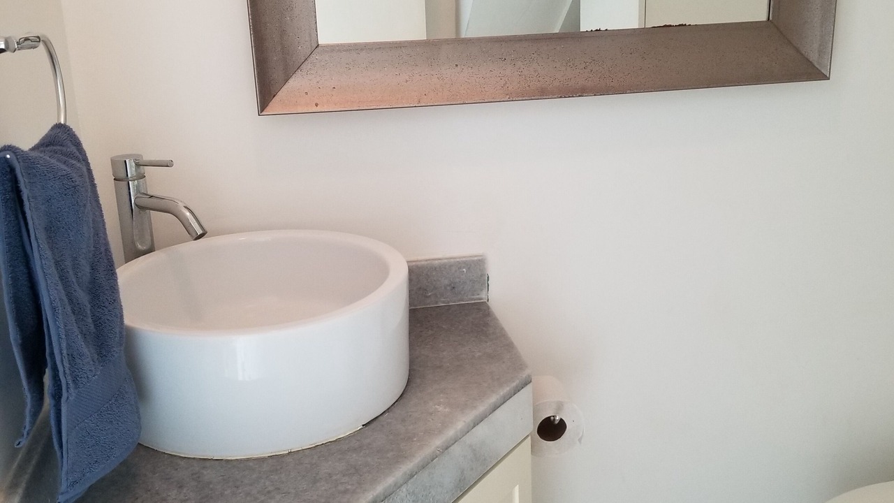 Photo of Bathroom in Flamingos