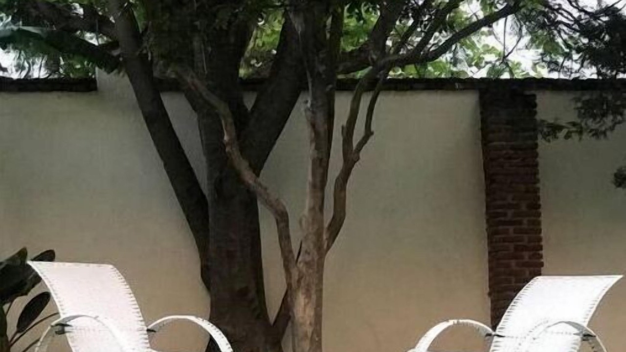 Photo of Outdoor in Ajijic