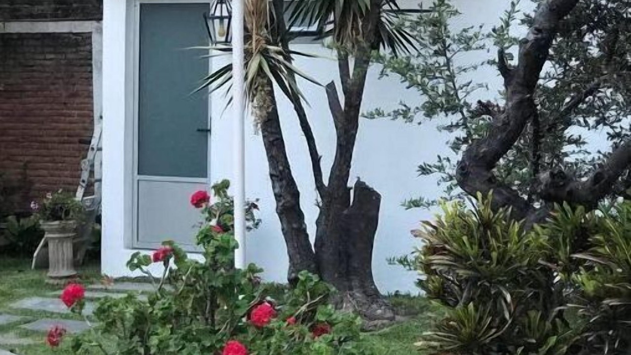 Photo of Outdoor in Ajijic
