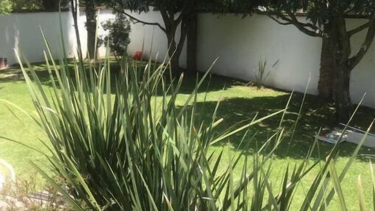 Photo of Outdoor in Ajijic
