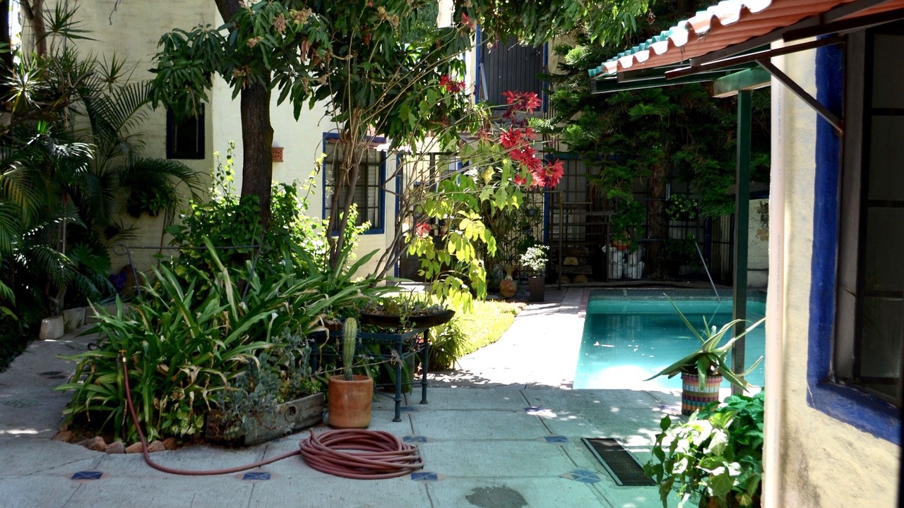 Photo of Outdoor in Guadalajara
