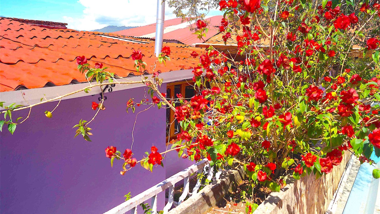 Photo of Outdoor in San Cristobal de las Casas