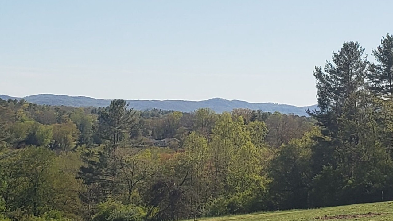 Photo of Others in Hendersonville