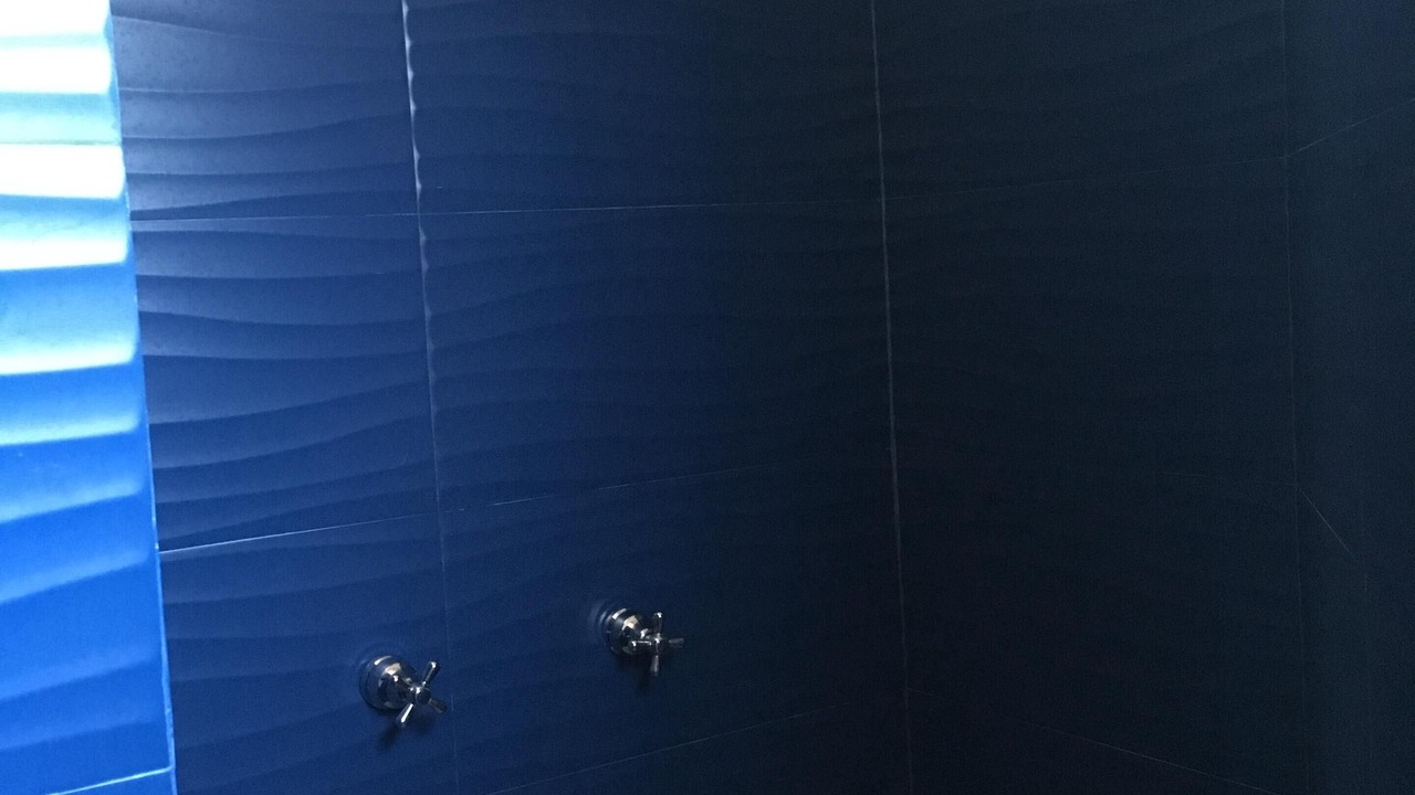 Photo of Bathroom in Bucerias