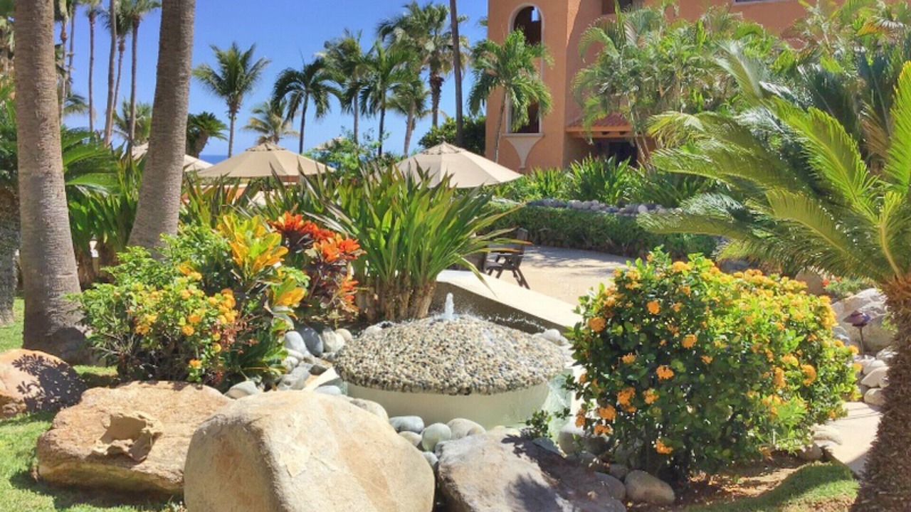 Photo of Outdoor in Chula Vista