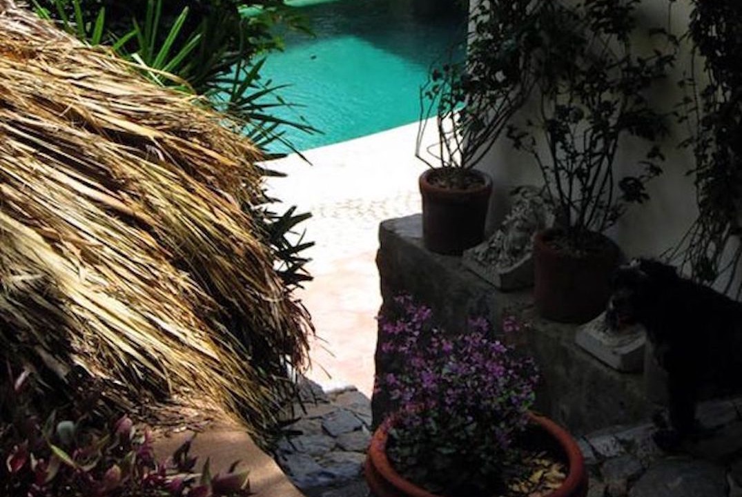 Photo of Outdoor in Playa Las Gatas