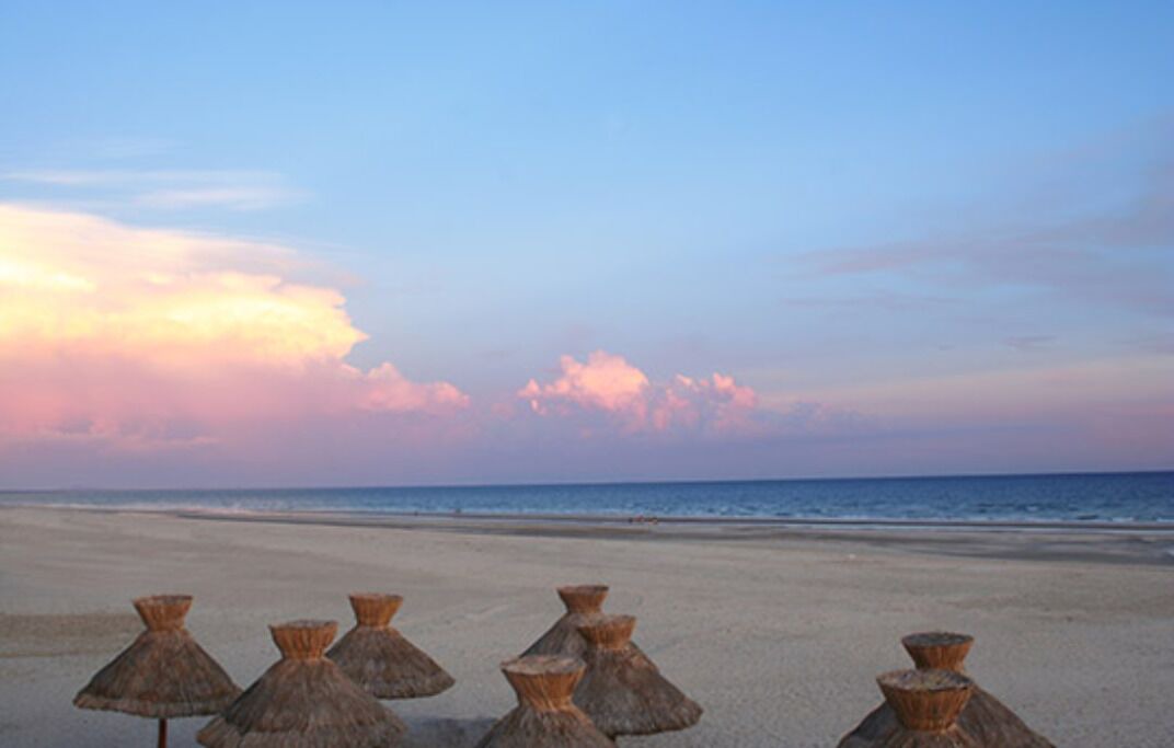 Photo of Others in Puerto Penasco