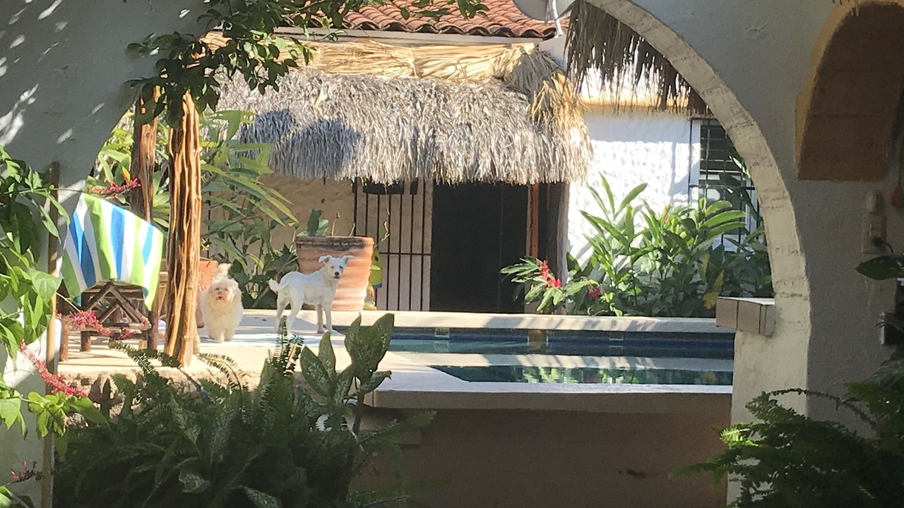 Photo of Outdoor in Bacocho