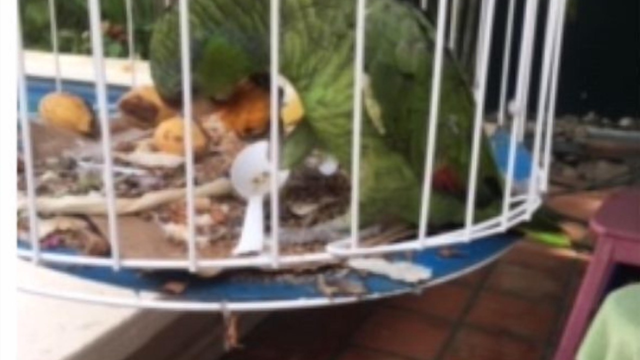 Photo of Others in Bacocho