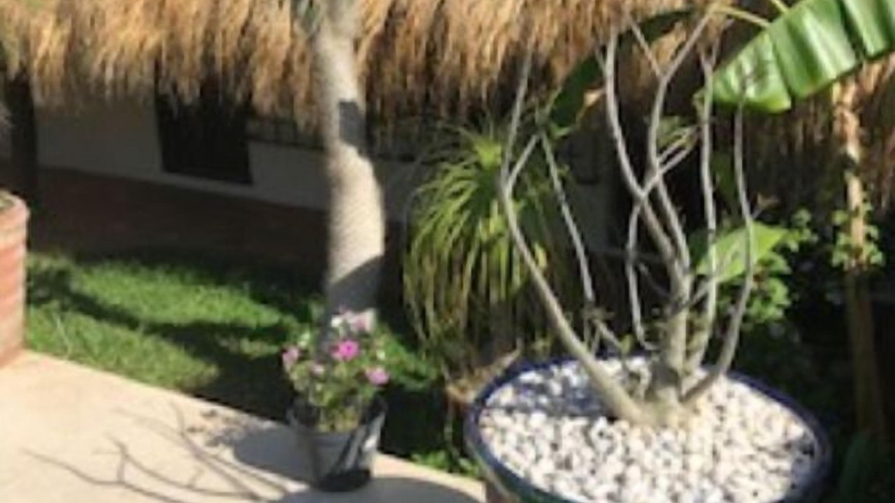 Photo of Outdoor in Bacocho