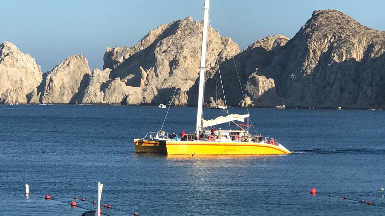 Photo of Others in El Medano Ejidal
