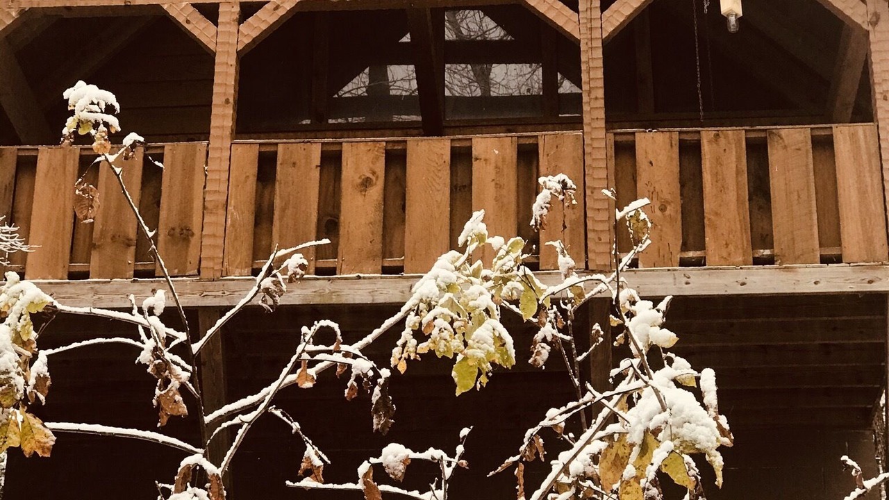 Photo of Outdoor in Townsend