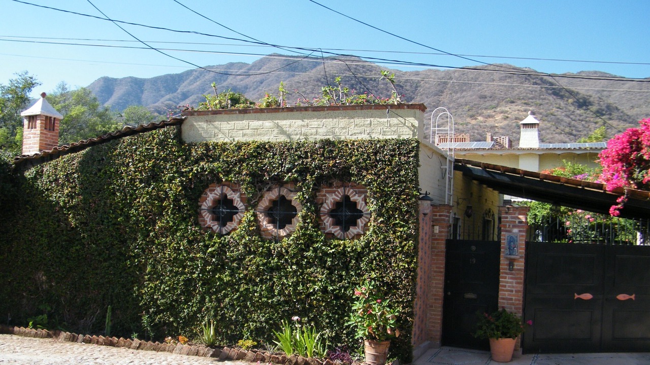 Photo of Others in Ajijic