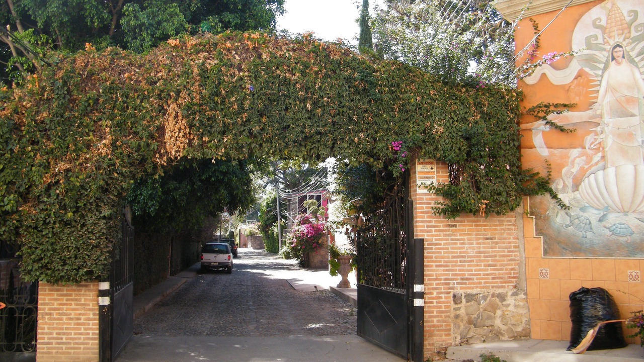 Photo of Others in Ajijic