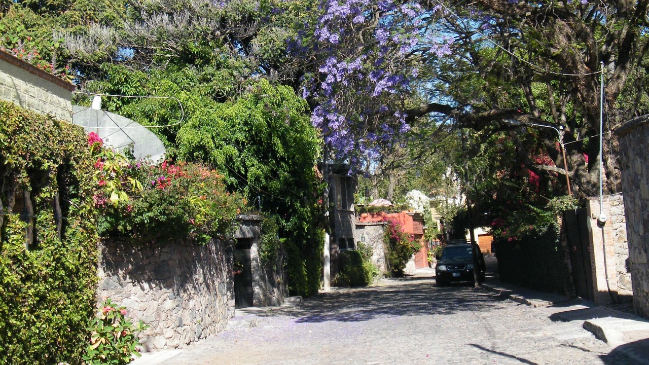 Photo of Others in Ajijic
