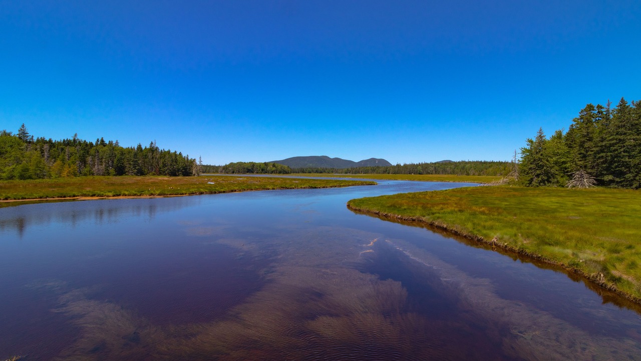 Photo of Others in Mount Desert
