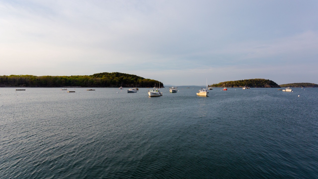 Photo of Others in Mount Desert
