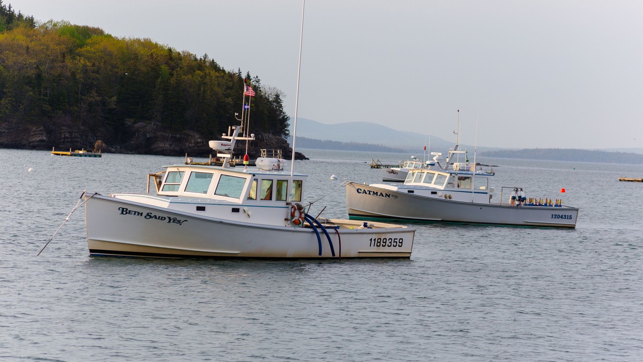 Photo of Outdoor in Mount Desert