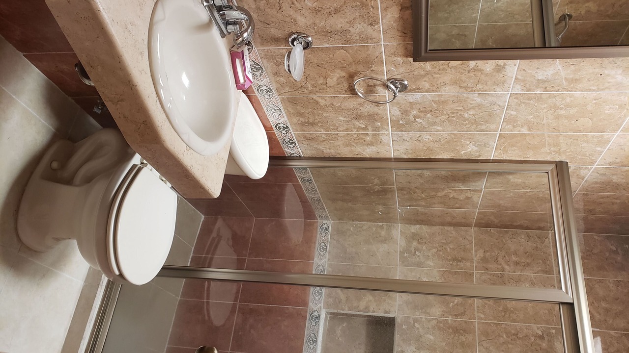 Photo of Bathroom in Tezoyuca