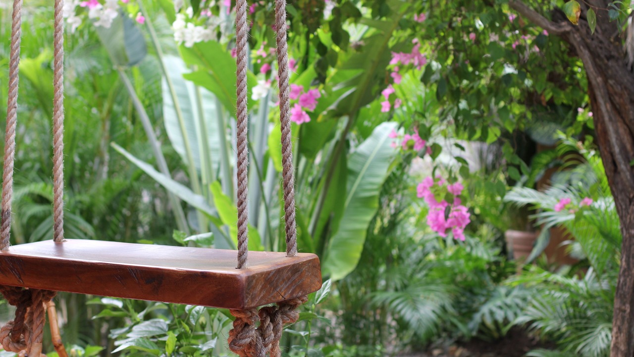Photo of Outdoor in Troncones