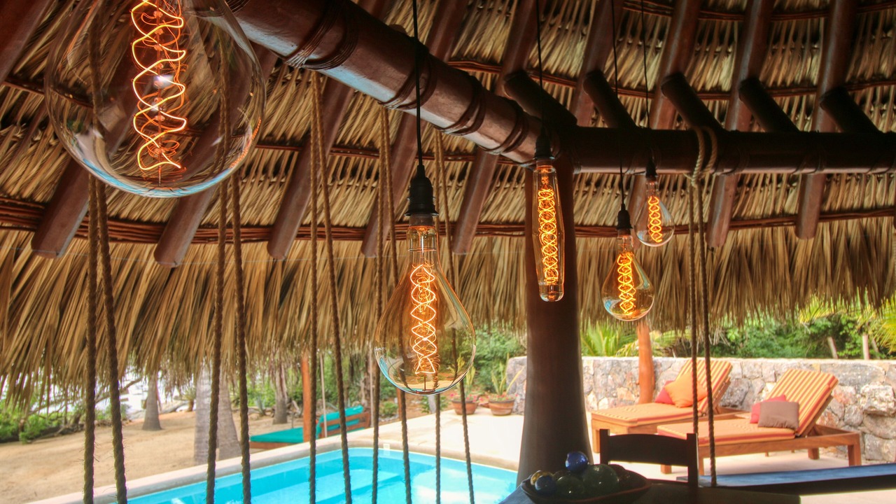 Photo of Outdoor in Troncones